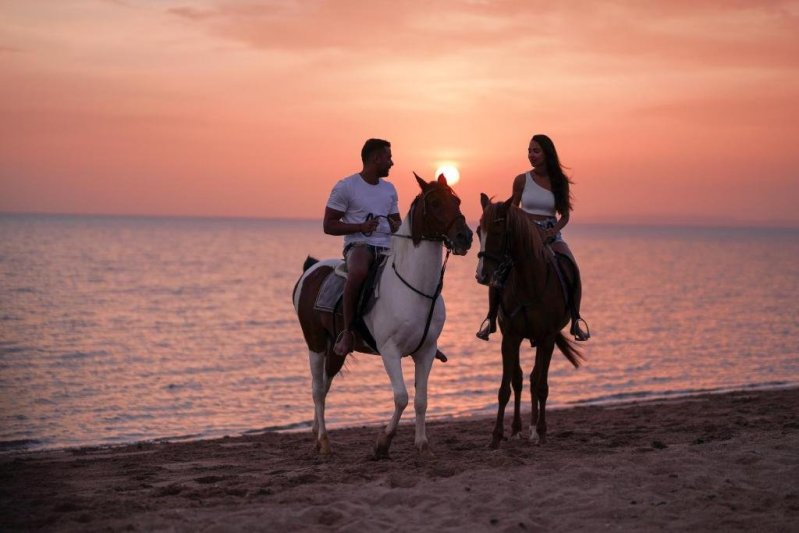El Gouna utazás utazás Ali Pasha