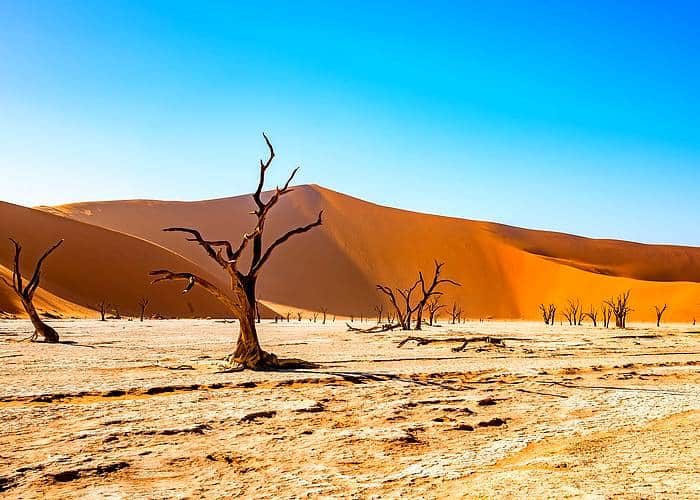 Gazdag állatvilág, érdekes látnivalók: irány Namíbia!