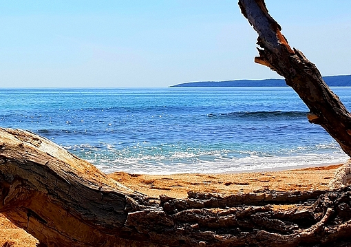 Bulgária - Duni utazás